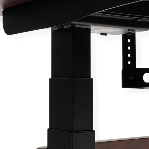 3 Stage Height Adjustability With Dual Motor